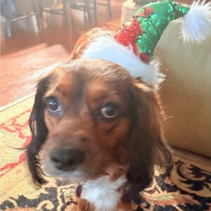 Meet your Posher, Abraham